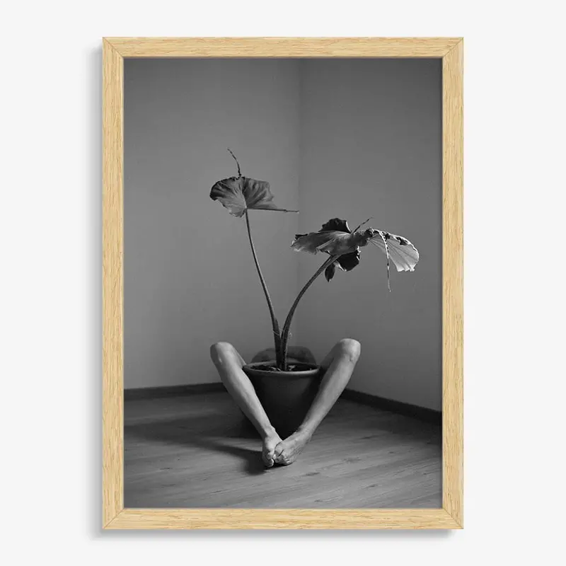 Symbiosis No. 2 5