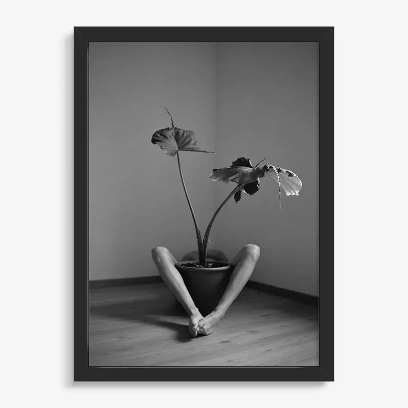 Symbiosis No. 2 6