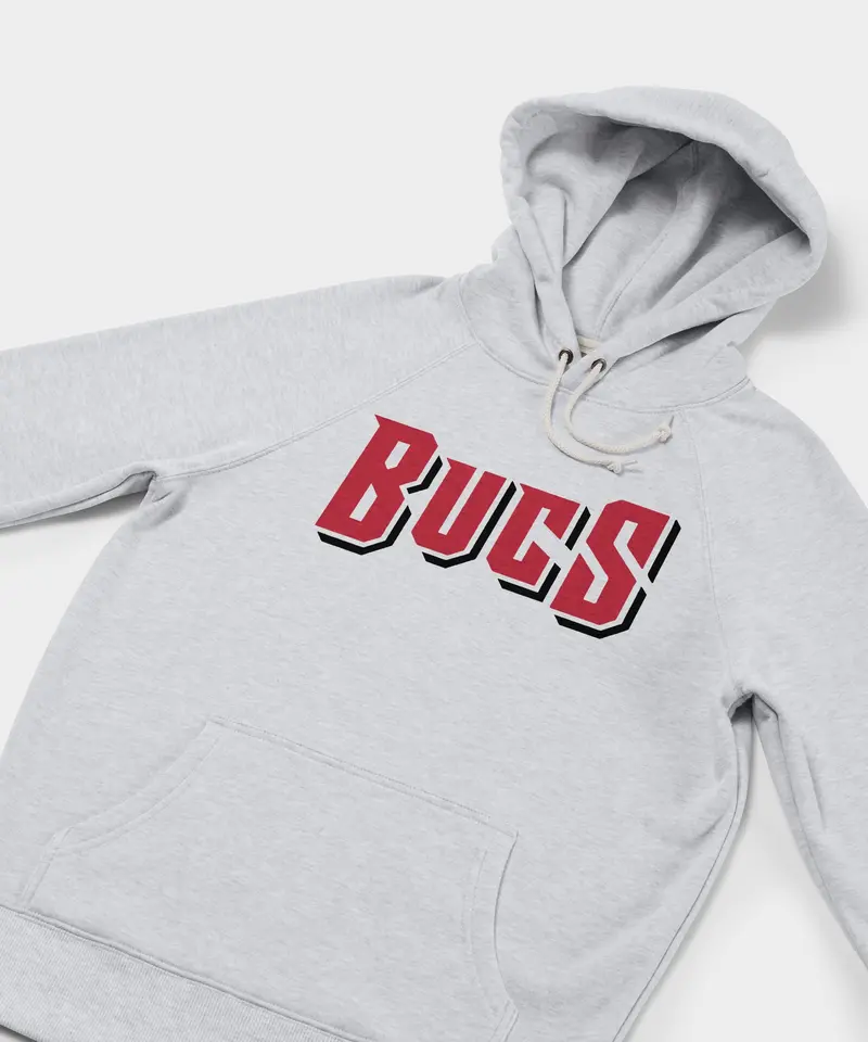 Tampa Bay Buccaneers Wordmark '14 Hoodie 2