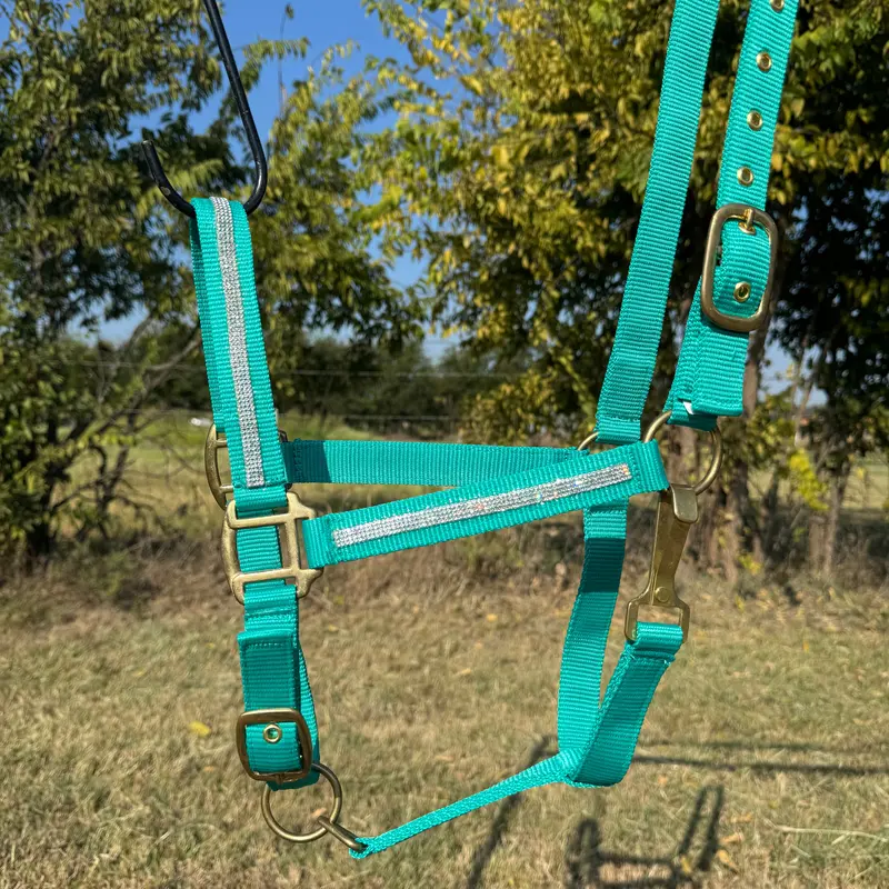 Teal Bling Nylon Horse Halter Bnhteal 1