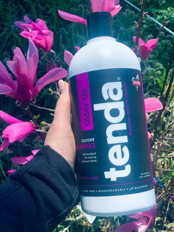 Tenda Giddy - Up Shampoo *New* 1