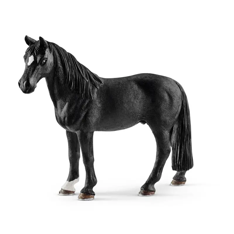 Tennessee Walker Gelding 1