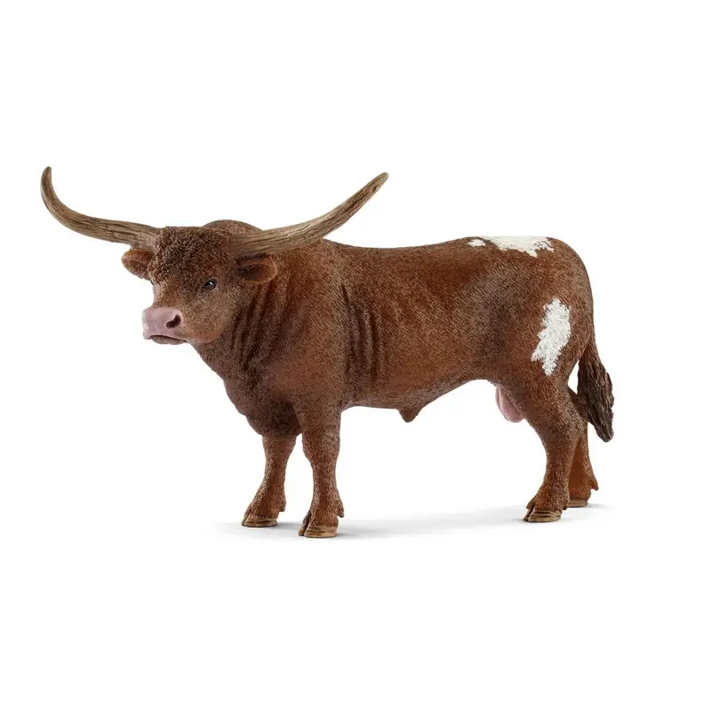 Texas Longhorn Bull 1