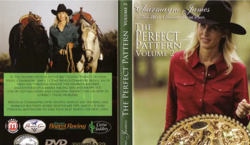 The Perfect Pattern Volume 2 1