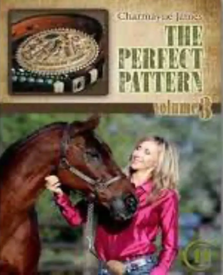 The Perfect Pattern Volume 3 1