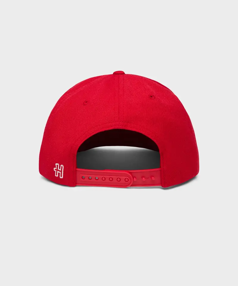 The Simpsons Duff Beer Snapback Hat 2