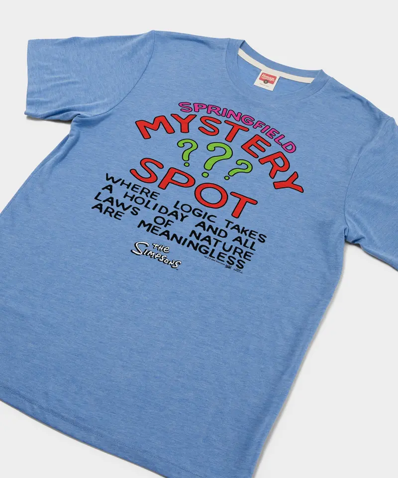 The Simpsons Springfield Mystery Spot 2