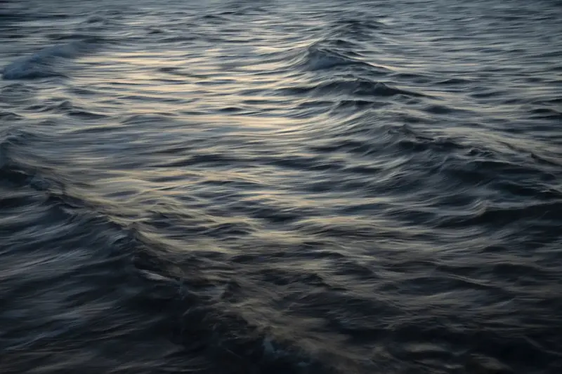 The Uniqueness Of Waves Xl 2