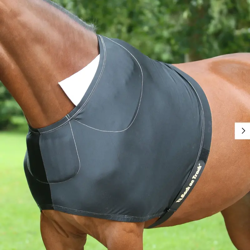 Therapeutic Horse Shoulder Guard 1