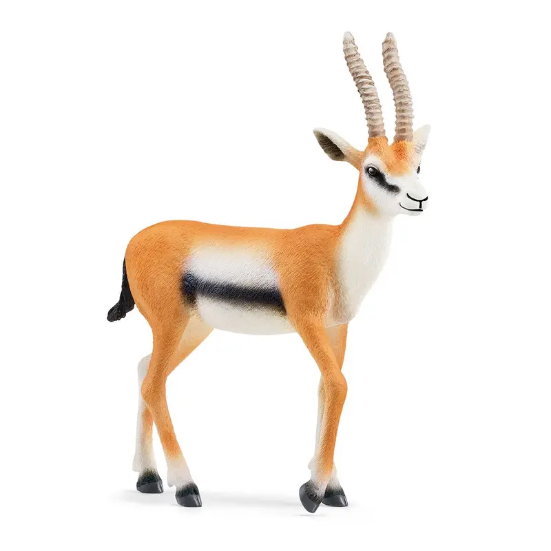 Thomson Gazelle 1