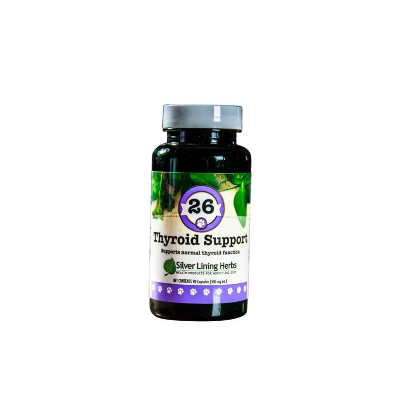 Thyroid Support For Canines 1