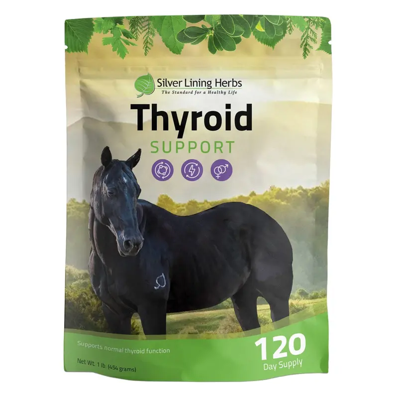 Thyroid Support For Horses 1