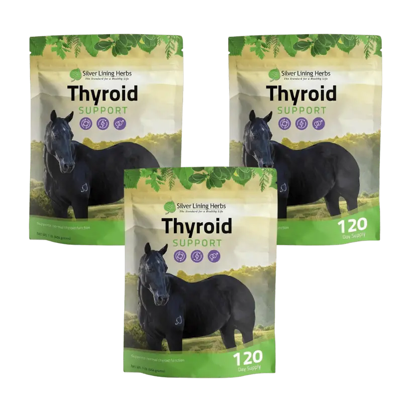Thyroid Support For Horses 2