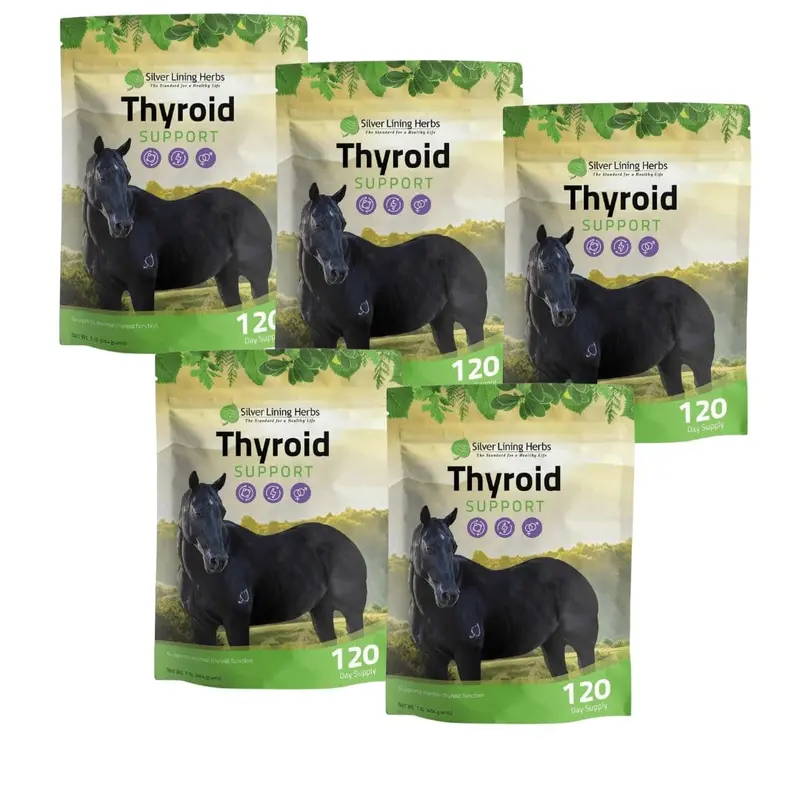 Thyroid Support For Horses 3