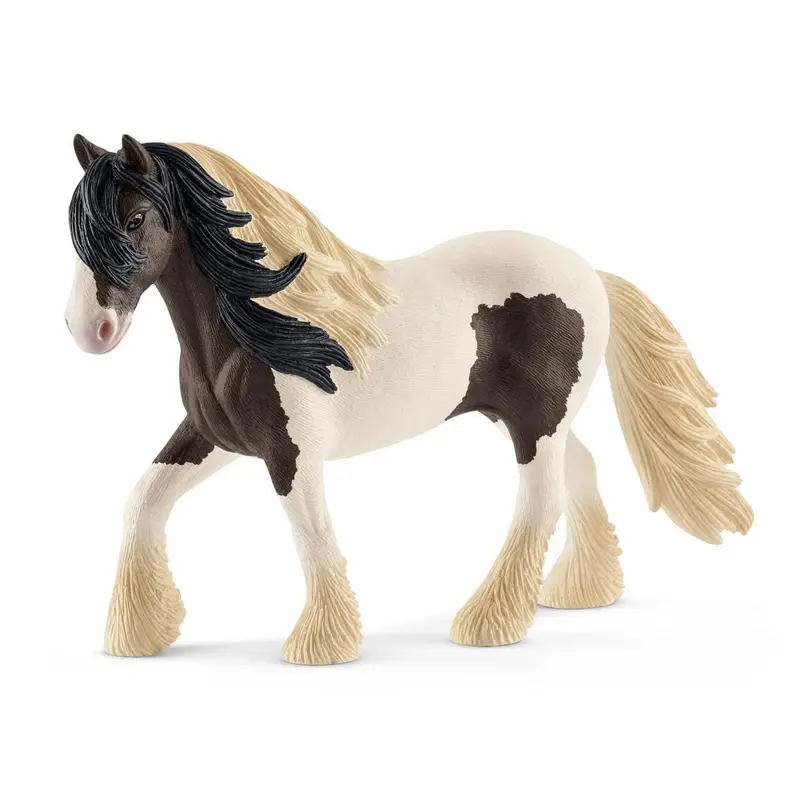 Tinker Stallion 1
