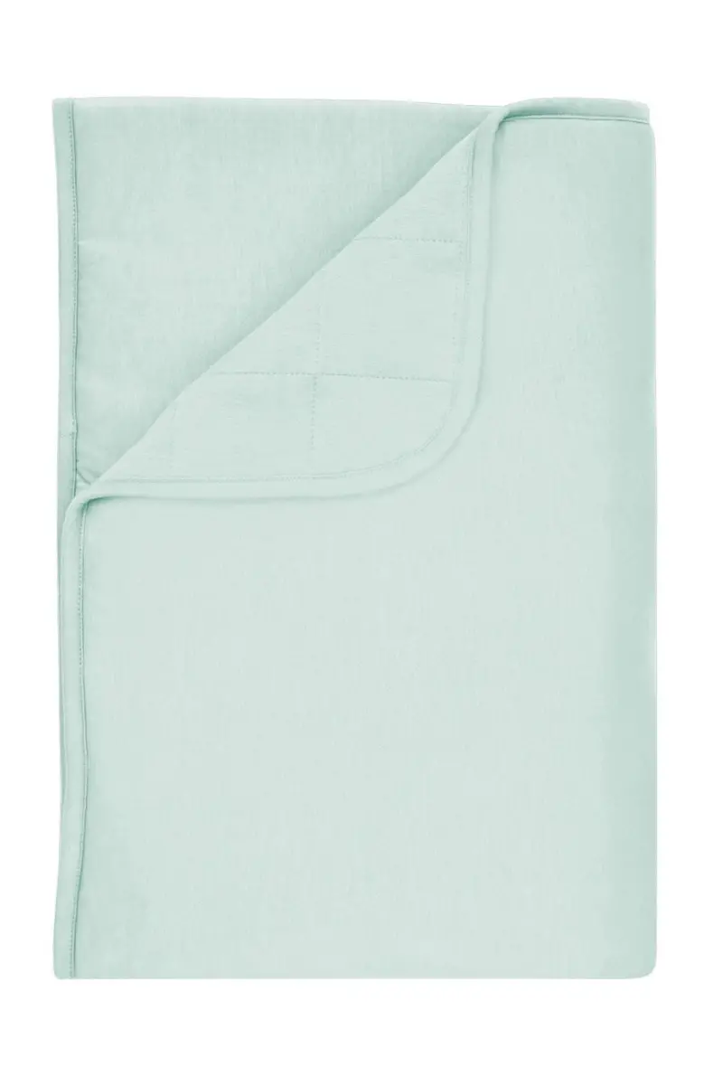 Toddler Blanket In Sage 1.0 1