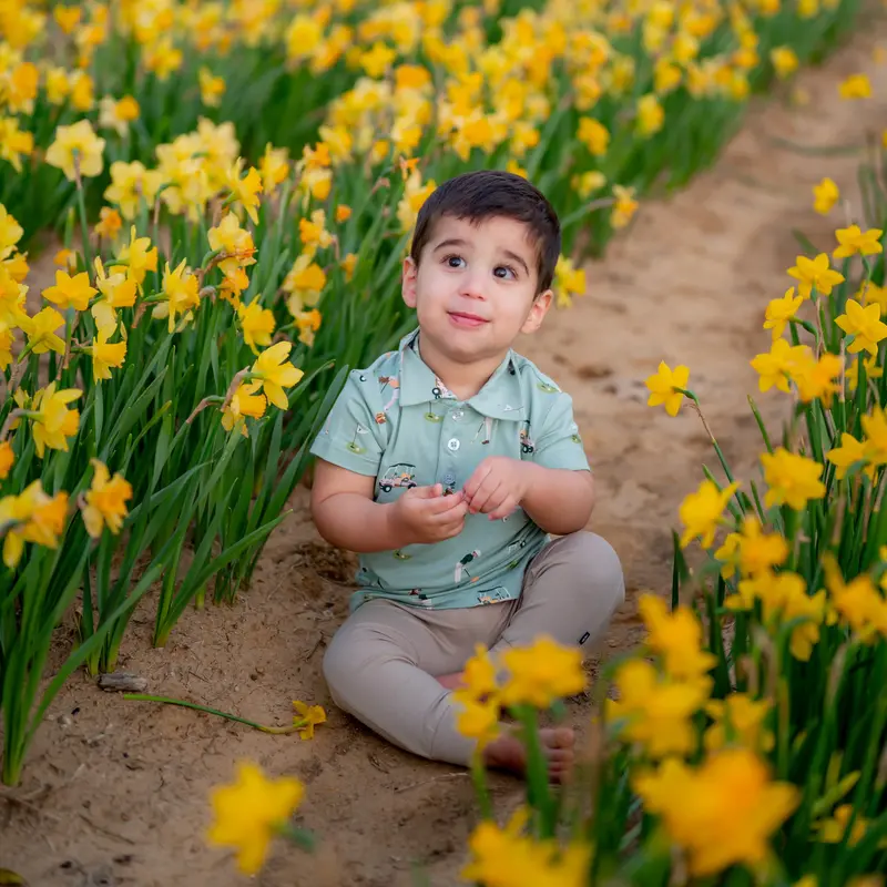 Toddler Short Sleeve Polo In Golf 1