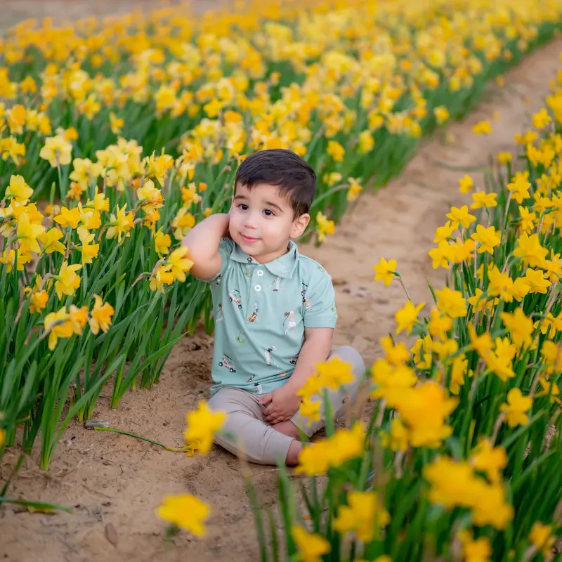 Toddler Short Sleeve Polo In Golf 2