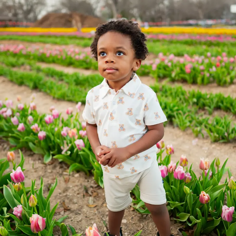 Toddler Short Sleeve Polo In Teddy Bear 1