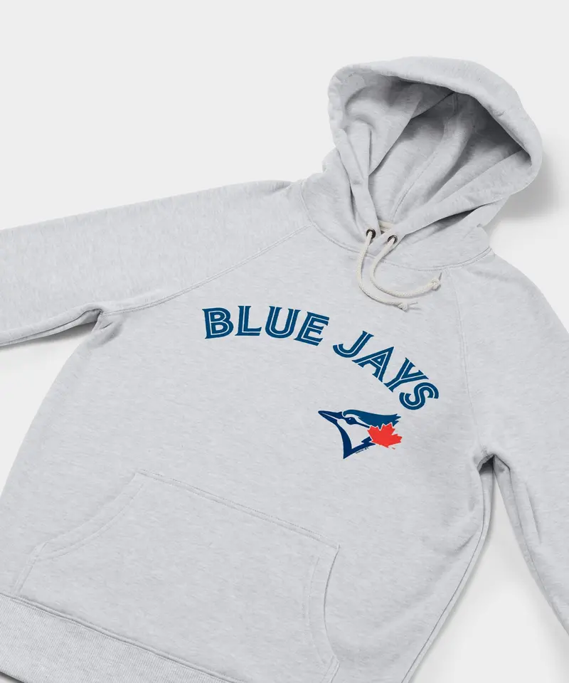 Toronto Blue Jays Jersey Logo '20 Hoodie 2