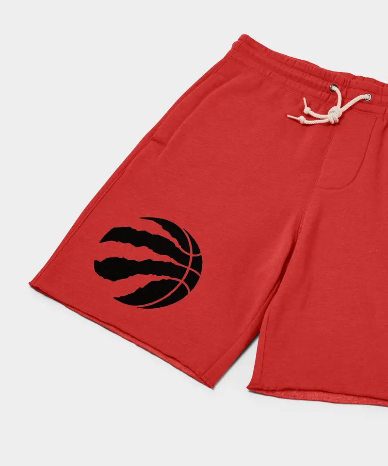 Toronto Raptors Logo Sweat Shorts 2