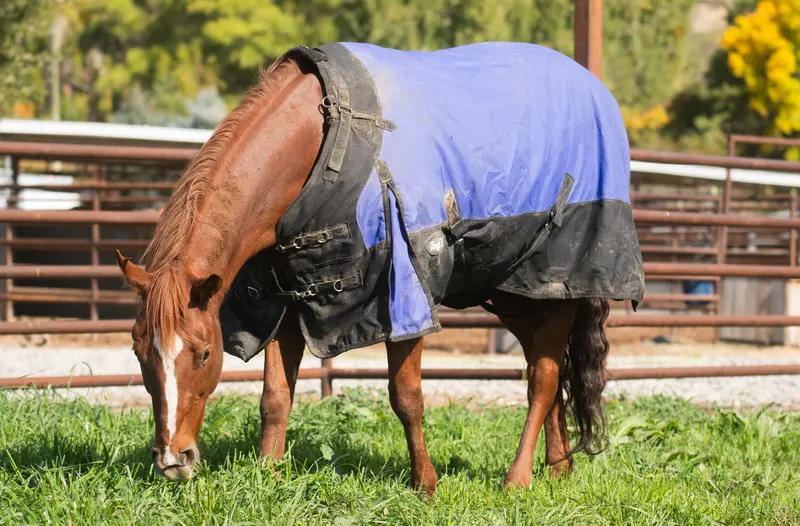 Tough 1 1200D Turnout Blanket With Snuggit Neck 1