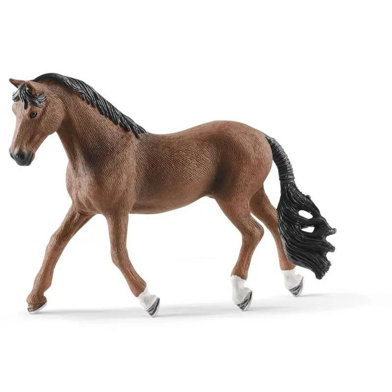 Trakehner Gelding 1