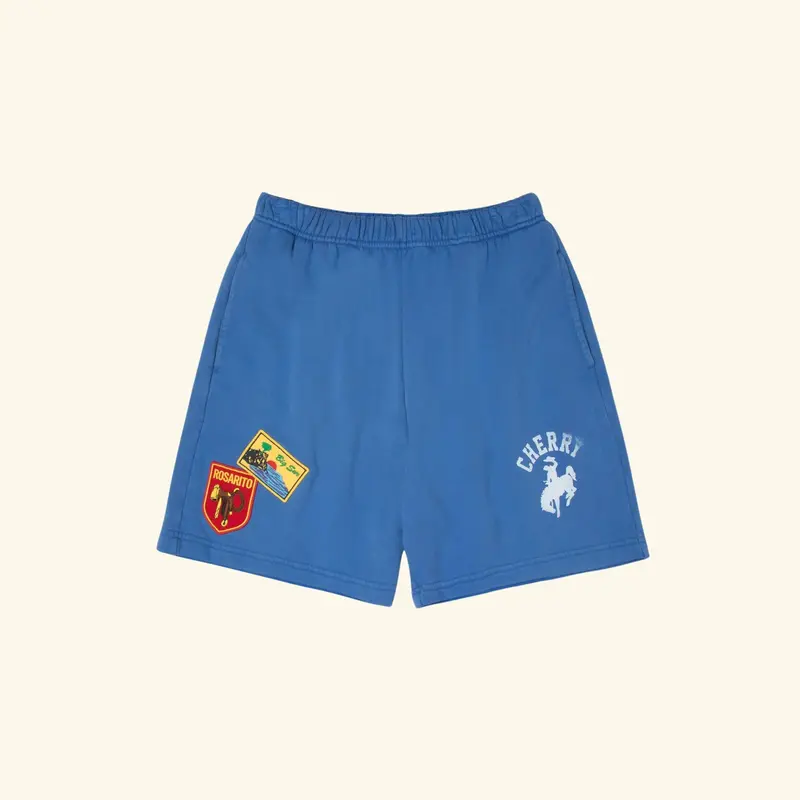 Traveler Sweatshorts 1