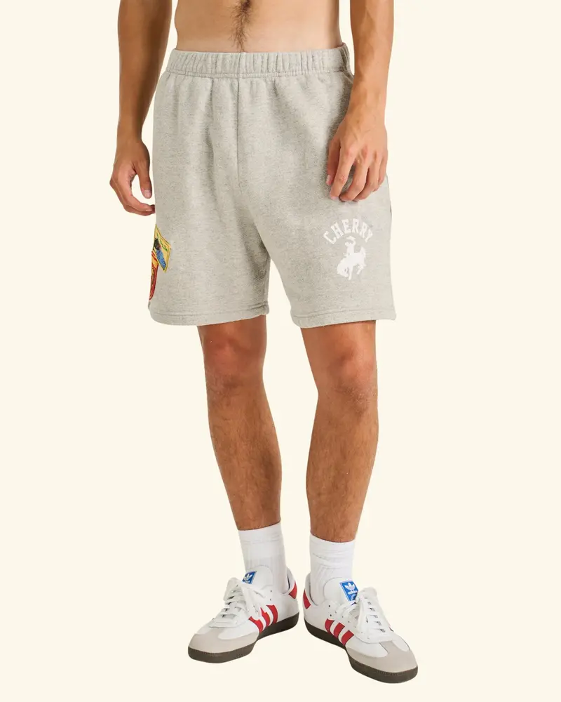Traveler Sweatshorts 3
