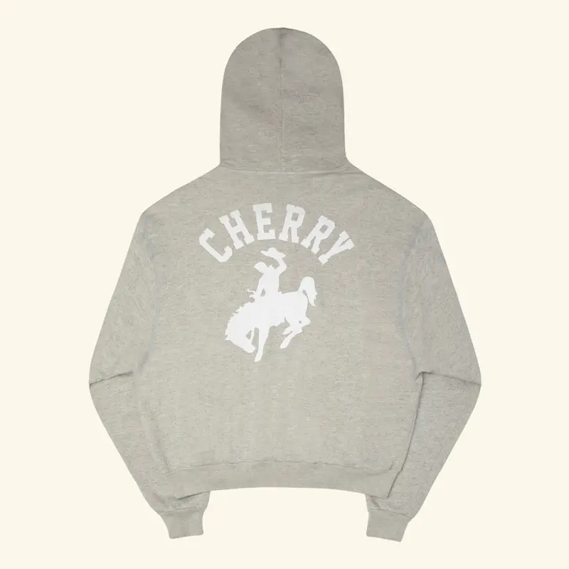 Traveler Zip-Up Hoodie 1