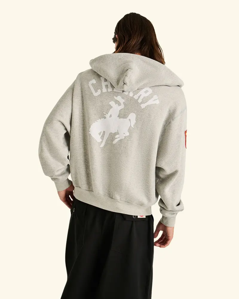 Traveler Zip-Up Hoodie 5