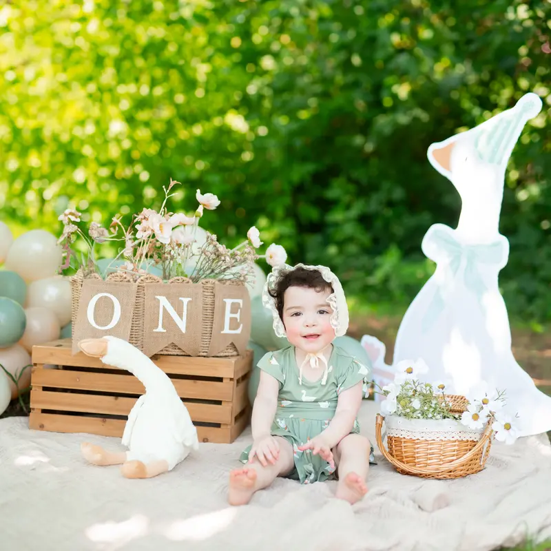 Twirl Bodysuit Dress In Silly Goose 6
