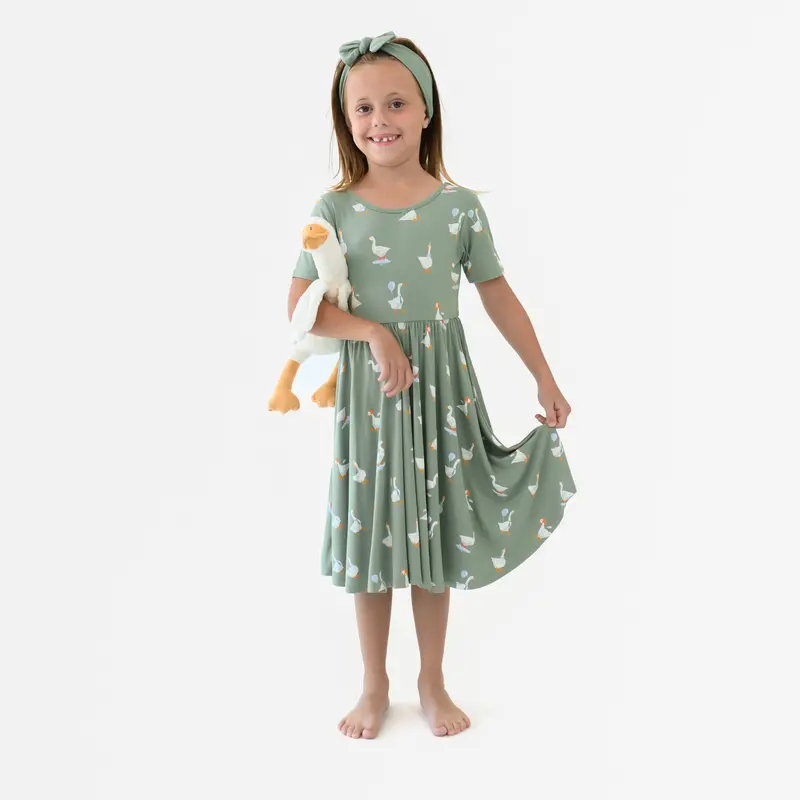Twirl Dress In Silly Goose 1