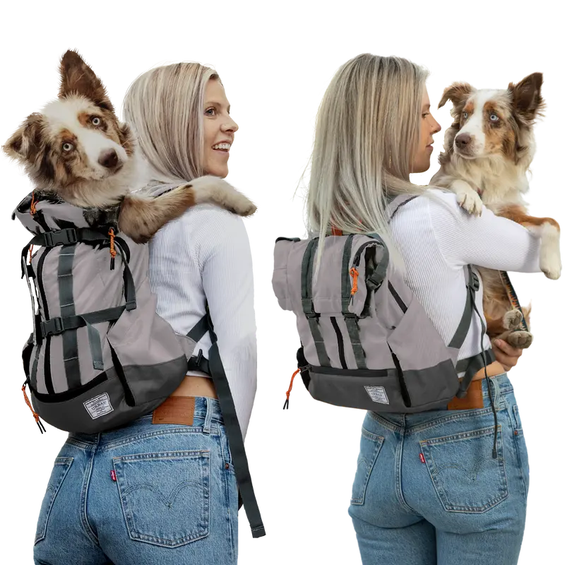 Urban 3 | Dual Use Dog Carrier & Traditional Backpack 1
