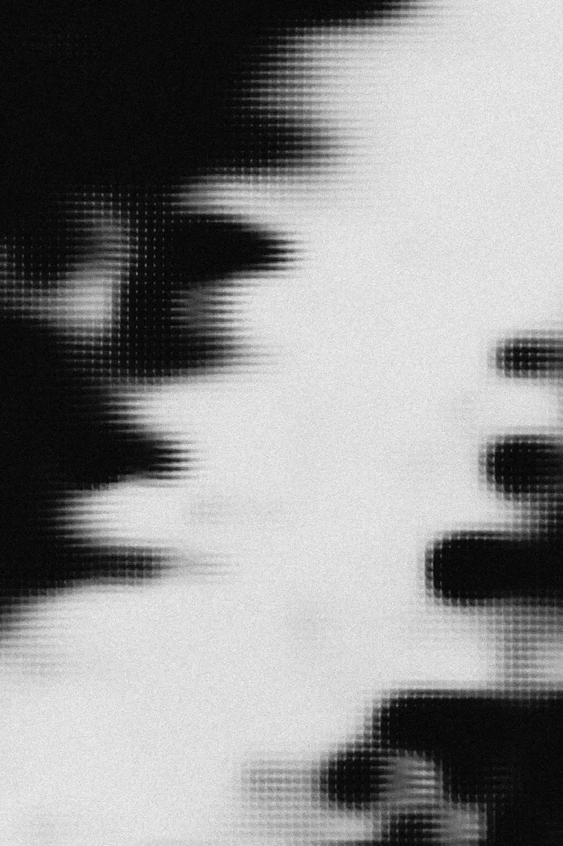 Veiled Portrait 2