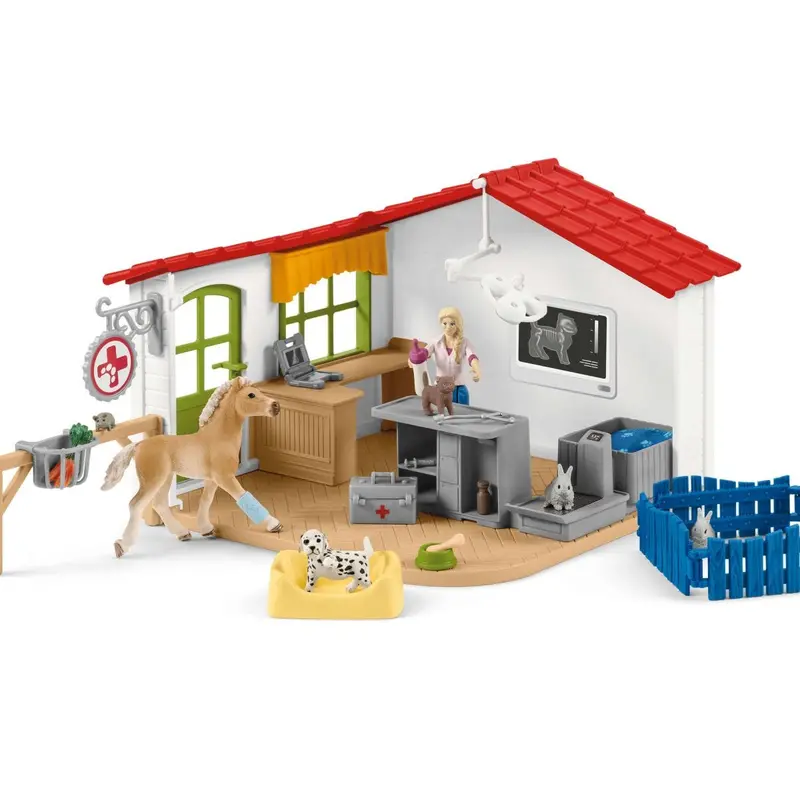 Veterinarian Practice With Pets 1