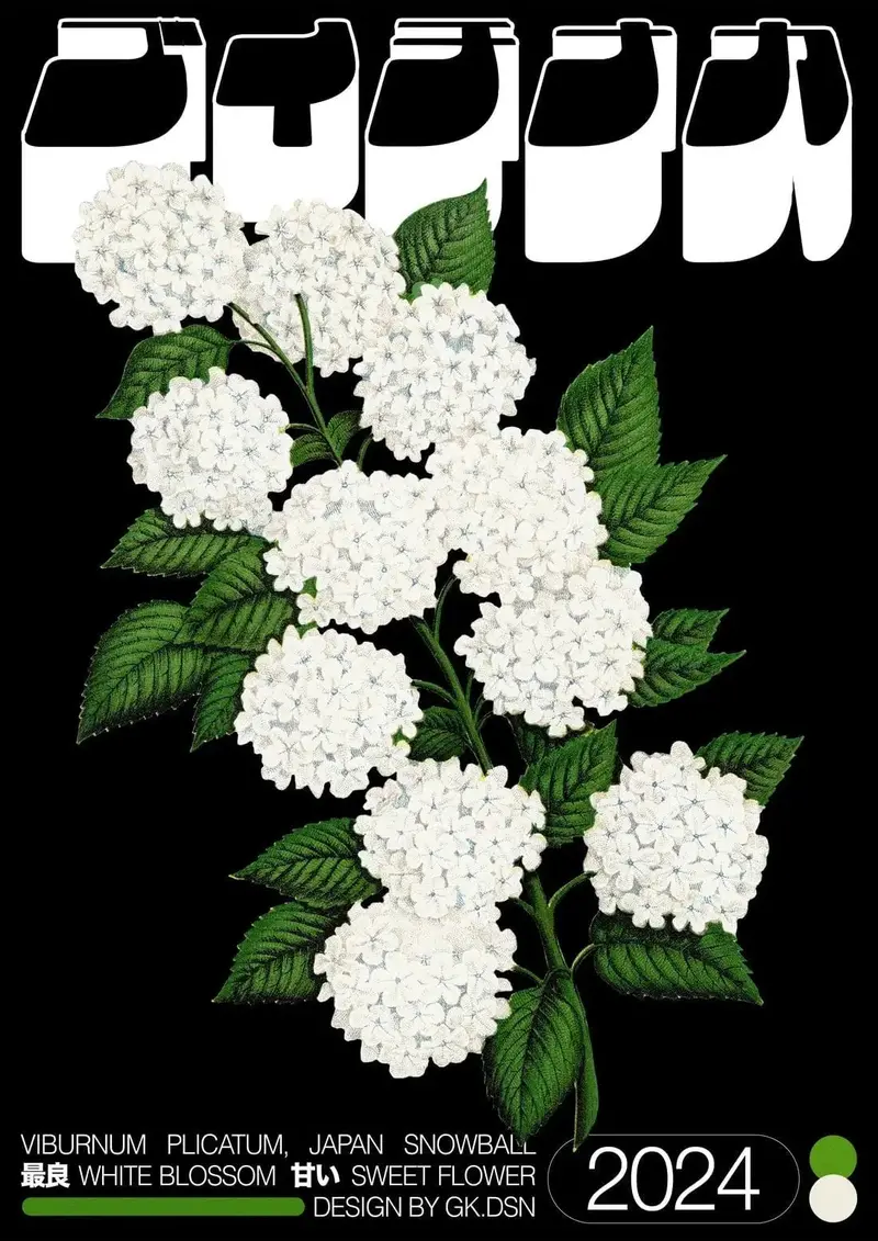 Viburnum Plicatum 2