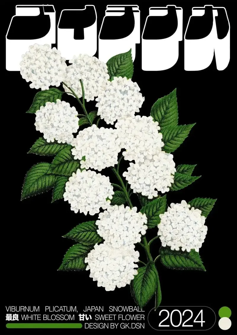 Viburnum Plicatum 2