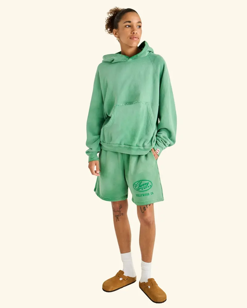 Vintage Classic Raglan Hoodie 3