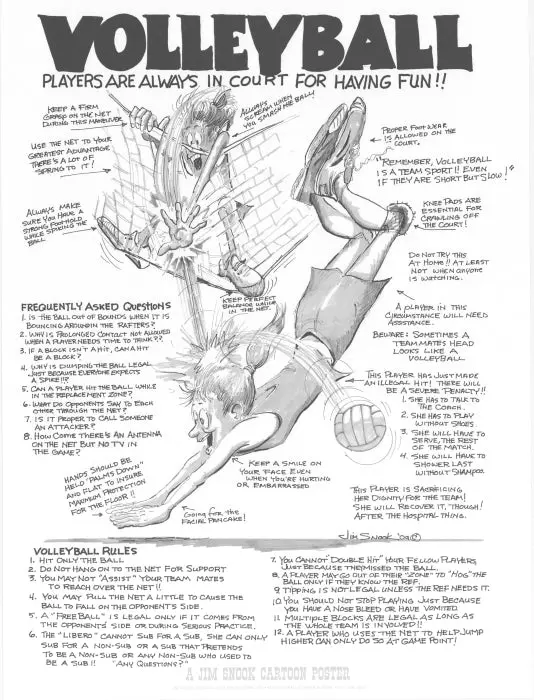 Volleyball Poster 1