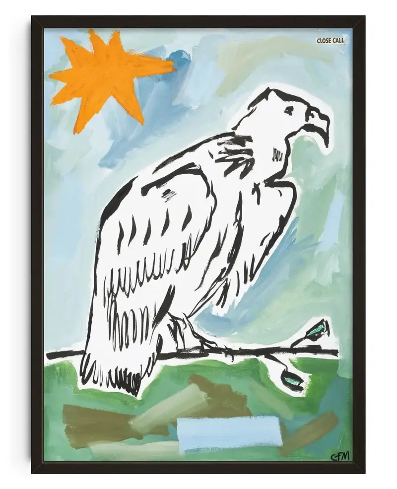 Vulture Watching 1