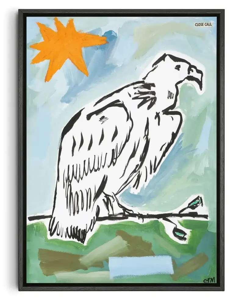 Vulture Watching 1