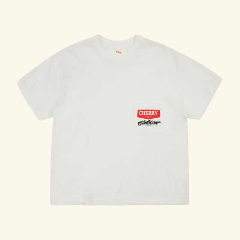 Western Chevron Boxy Pocket Tee (Vintage White) 1