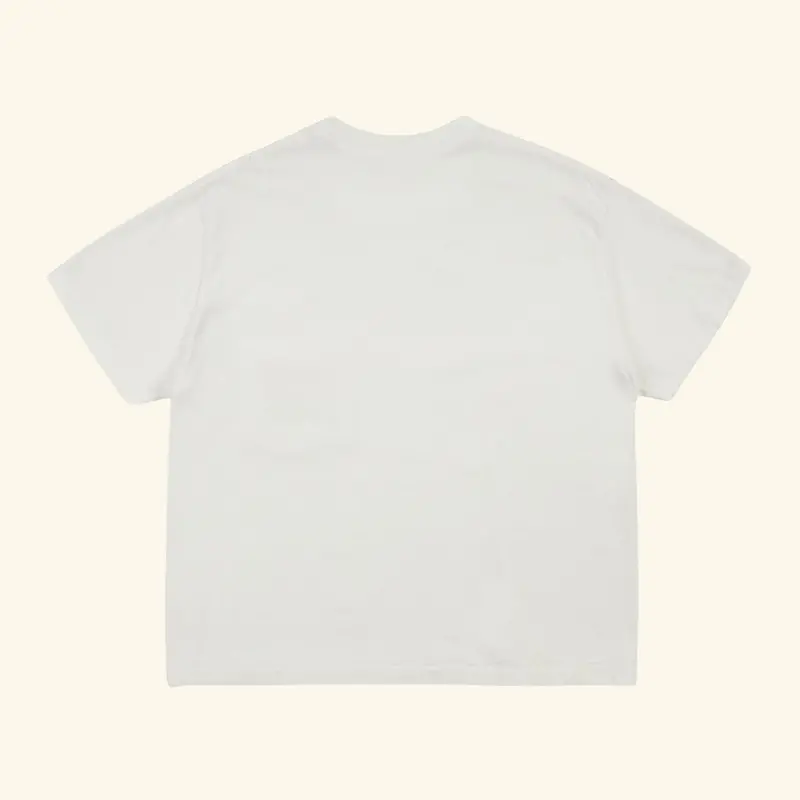 Western Chevron Boxy Pocket Tee (Vintage White) 2