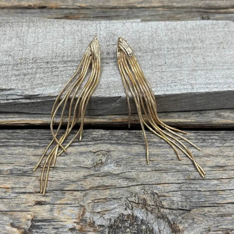 Western Gold Simple Dangle Fashion Earrings 1