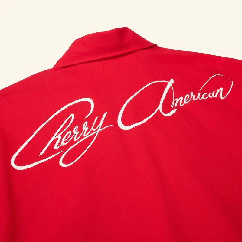 Western Twill Mechanic Shirt (Sun Faded Red) 4