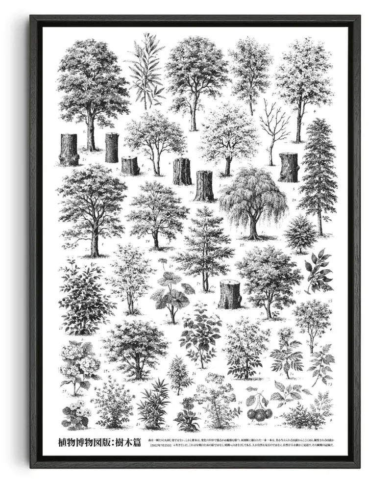 Whispers Of The Woodland 1