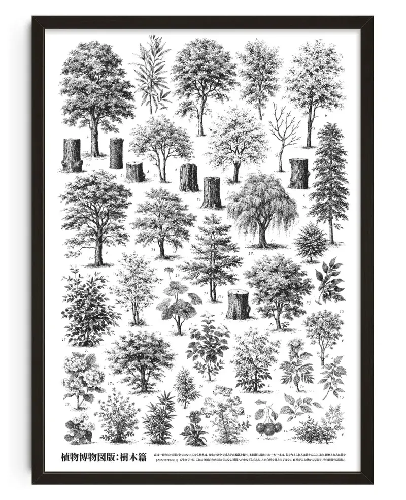 Whispers Of The Woodland 1