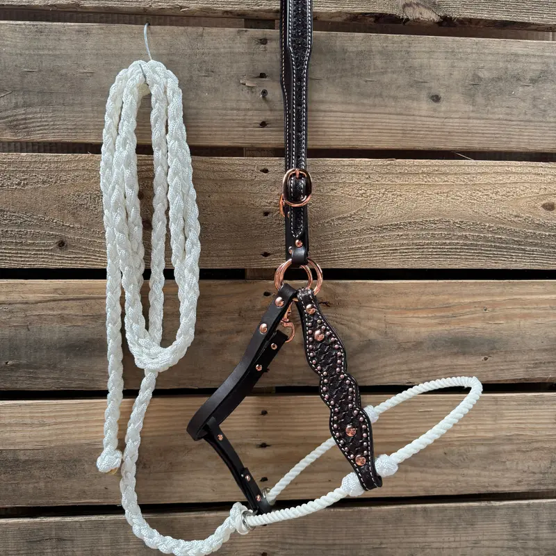 White Honeycomb Tooled Lariat & Leather Combo Halter 1