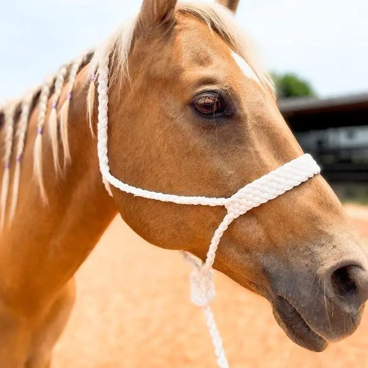 White Mule Tape Halter 1